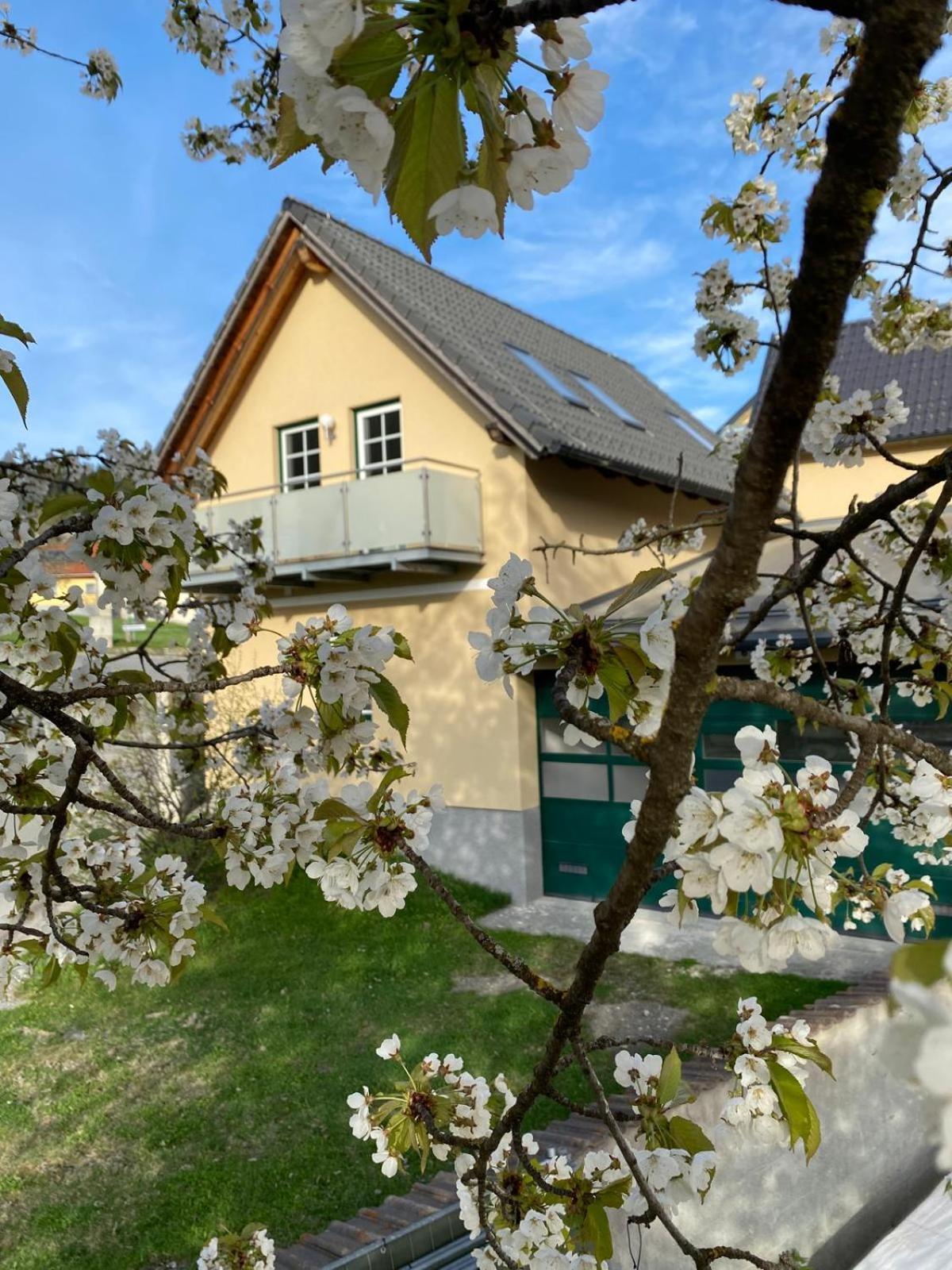 Ferienwohnung in Mariahof Neumarkt in Steiermark Luaran gambar